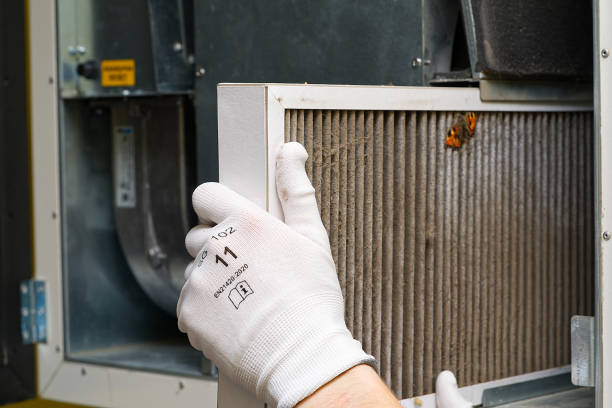 Best Air Filter Replacement Services in Woodlake, CA